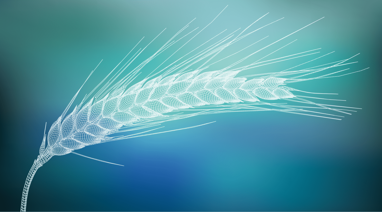 EuroChem品牌手册«